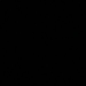 Meet your Posher, Max